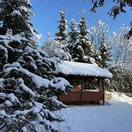 Infinita Bodice * Liptovský Mikuláš